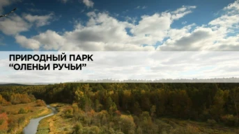 Природный парк «Оленьи ручьи»