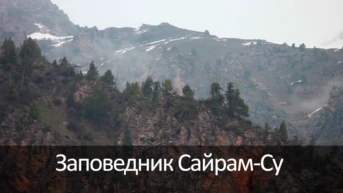 Заповедник Сайрам-Су