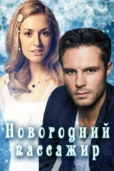 Новогодний пассажир