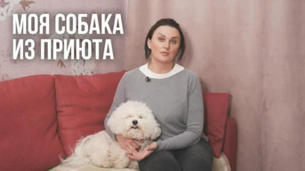 Моя собака из приюта