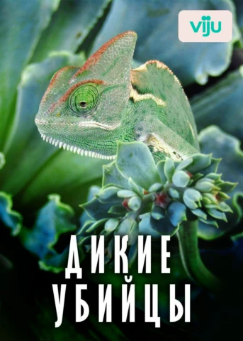 Яд