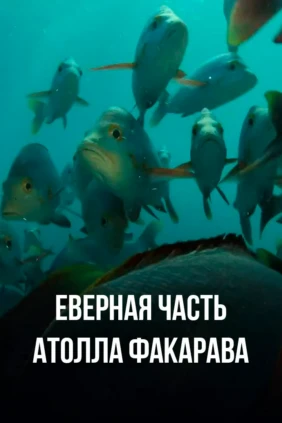 Северная часть атолла Факарава