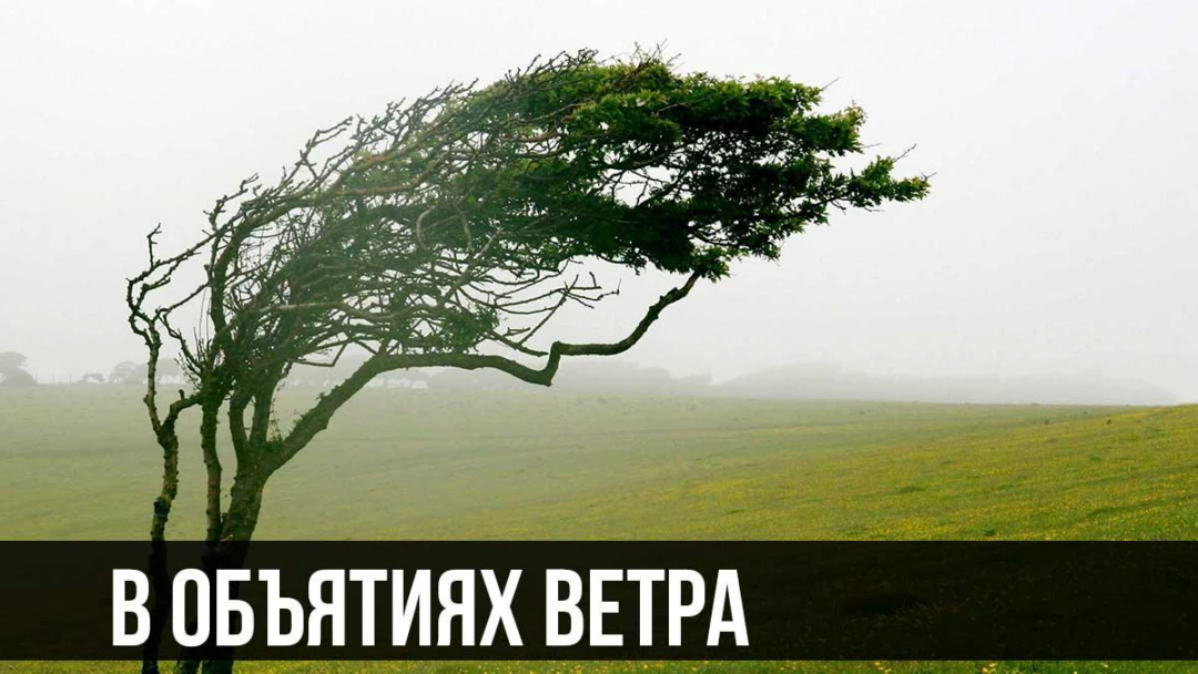 Фильм В объятиях ветра