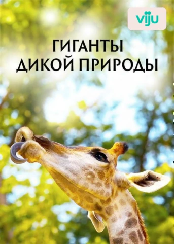 1-я серия