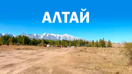 Алтай