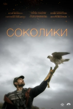 Соколики