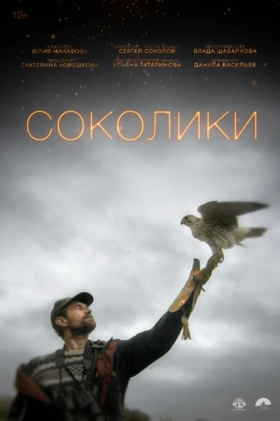 Соколики