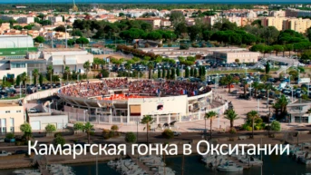 Камаргская гонка в Окситании