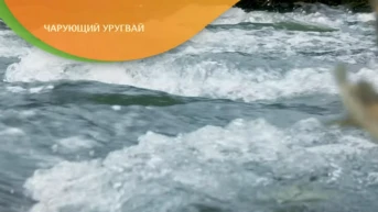 Чарующий Уругвай