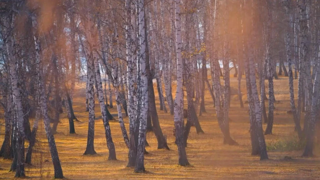 Передача У озера Узункуль