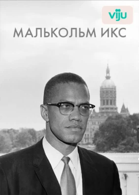 Малькольм Икс