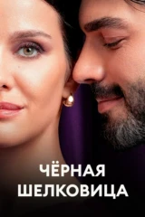 Чёрная шелковица