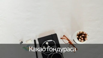 Какао Гондураса