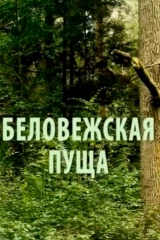 Беловежская пуща