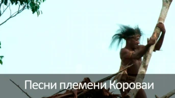 Песни племени Короваи из Западного Папуа