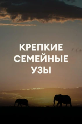 Природные семейные узы