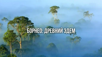 Борнео: Древний Эдем