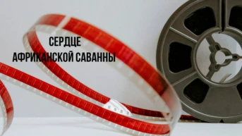 Сердце африканской саванны