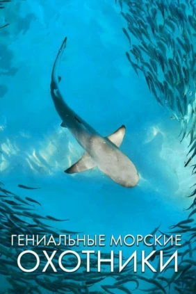 Гениальные морские охотники