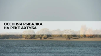 Осенняя рыбалка на реке Ахтуба