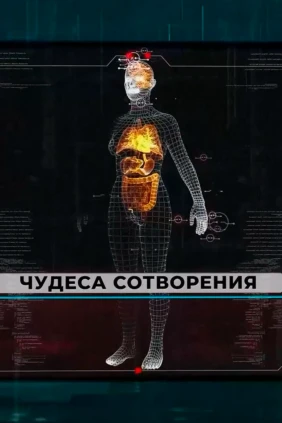 Чудеса сотворения