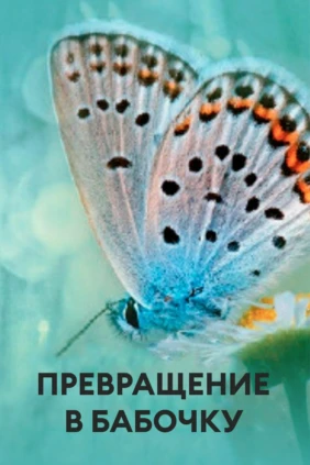 Превращение в бабочку