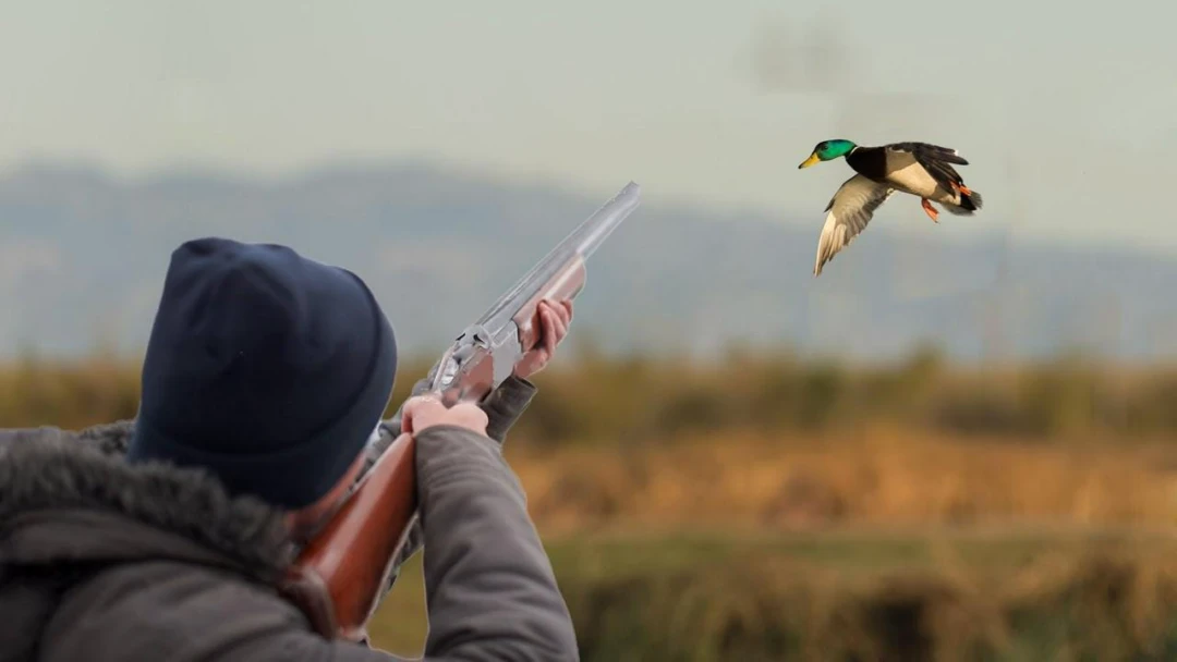 Передача Охота как она есть