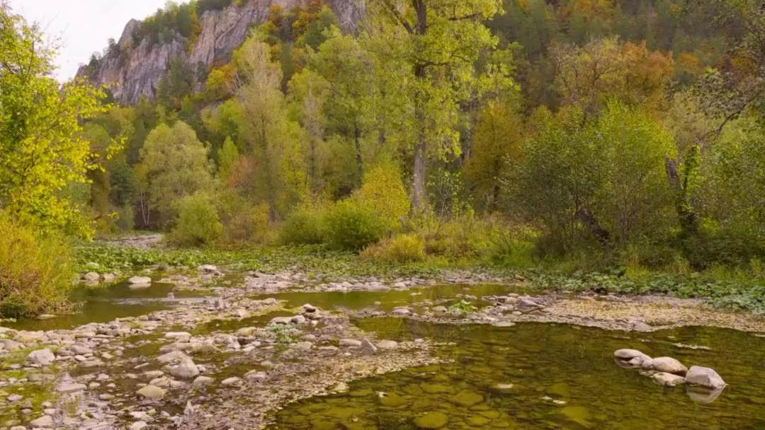 Передача Река Сикася
