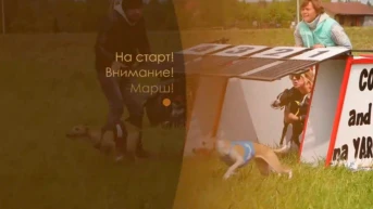 На старт! Внимание! Марш!