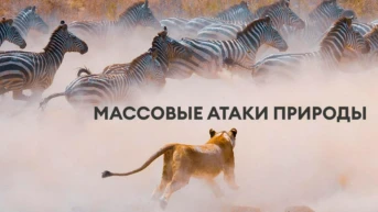 Массовые атаки природы