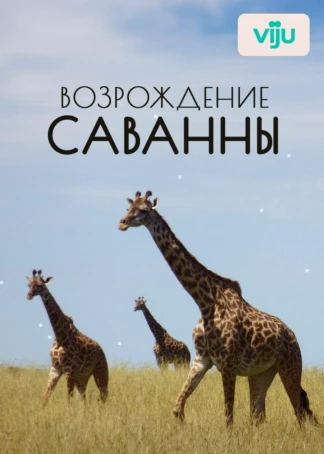 Возрождение Саванны