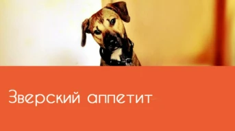 Зверский аппетит