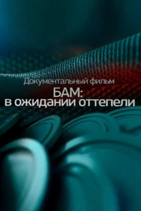 БАМ: в ожидании оттепели