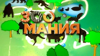 Зоомания