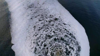 Серия 11