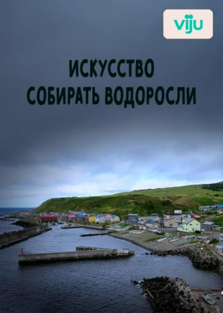 Искусство собирать водоросли