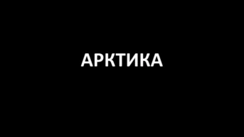Арктика