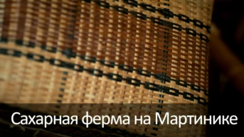 Сахарная ферма на Мартинике