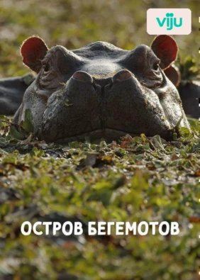 Остров бегемотов