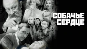 Трейлер 1
