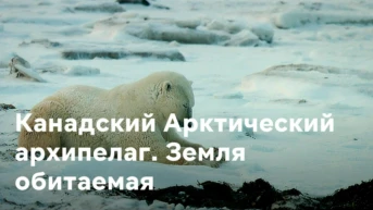 Канадский Арктический архипелаг. Земля обитаемая