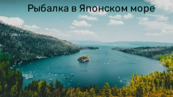 Рыбалка в Японском море - Михаил Мягков