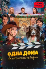 Одна дома: Великолепная пятерка