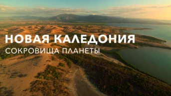 Подводное сокровище Новой Каледонии