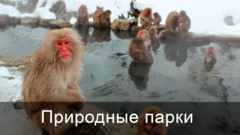 Природные парки