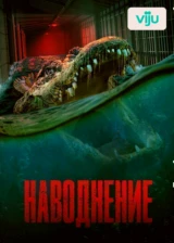 Наводнение
