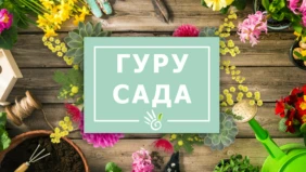 Трейлер 1