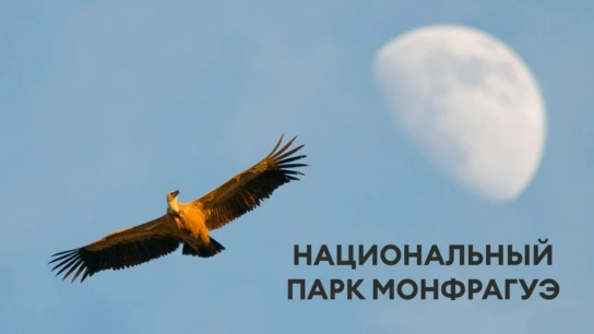 Национальный парк Монфрагуэ