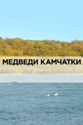 Медведи Камчатки