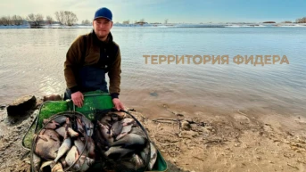 Территория фидера